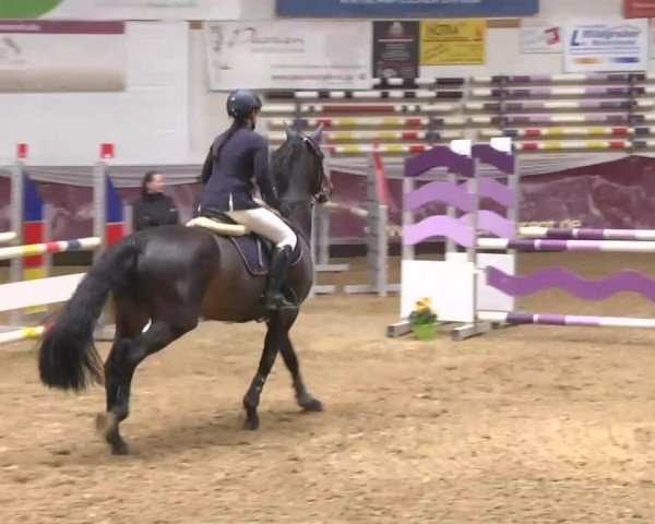 Reitturnier Eicherloh RH Laurent 2017