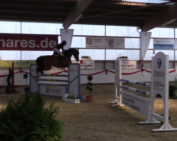 Reitturnier Rhede-Krommert 2017