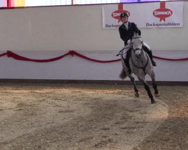 Reitturnier Rhede-Krommert 2017