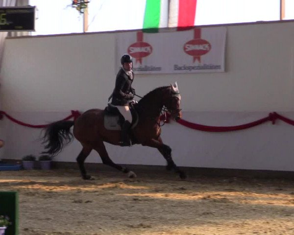 Reitturnier Rhede-Krommert 2017