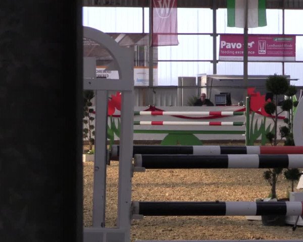 Reitturnier Rhede-Krommert 2017