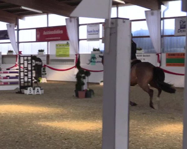 Reitturnier Rhede-Krommert 2017