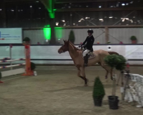 Reitturnier Lindlar-Süttenbach 2017