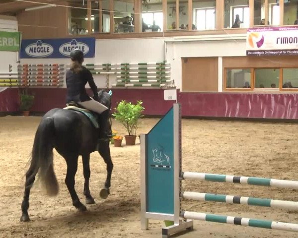 Reitturnier Eicherloh RH Laurent 2017
