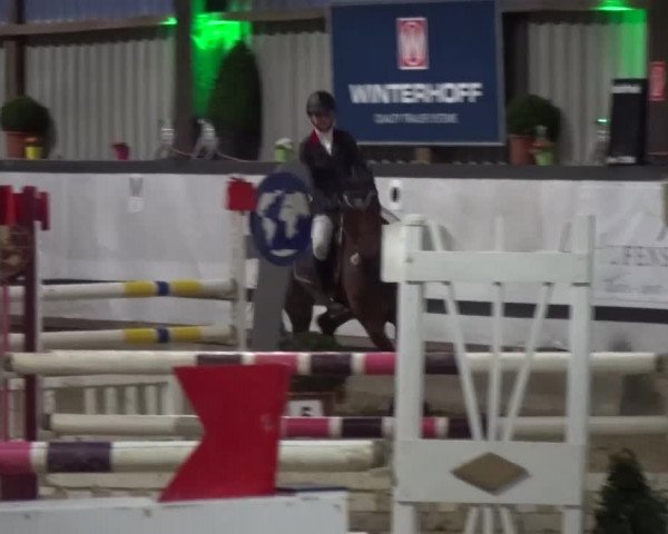 Reitturnier Lindlar-Süttenbach 2017
