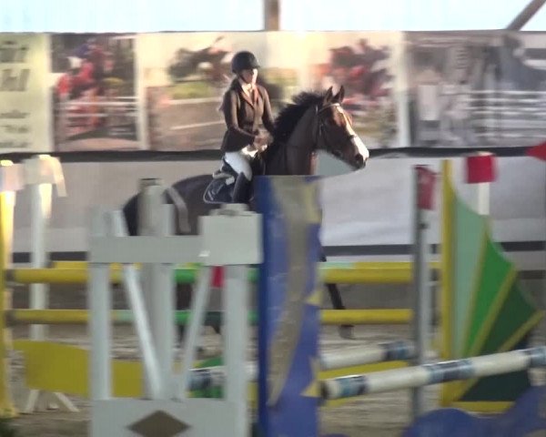 Reitturnier Lindlar-Süttenbach 2017