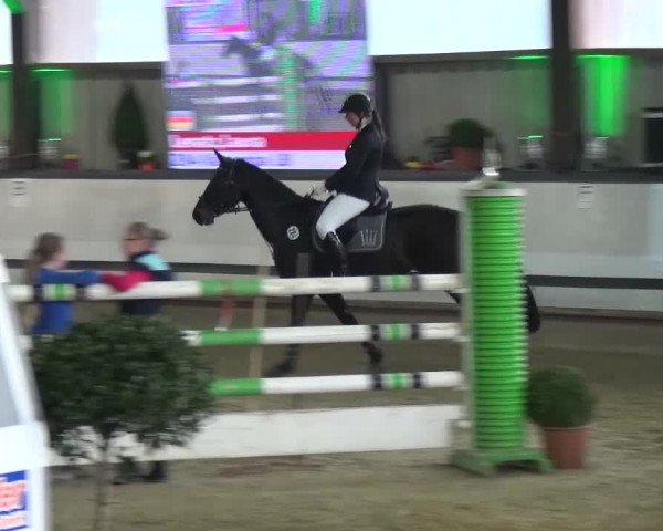 Reitturnier Lindlar-Süttenbach 2017