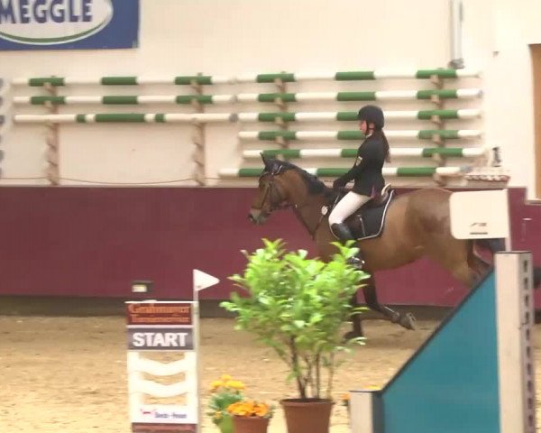 Reitturnier Eicherloh RH Laurent 2017