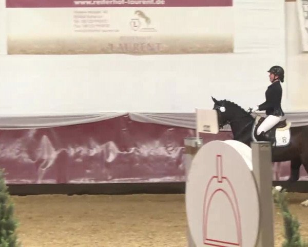 Reitturnier Eicherloh RH Laurent 2017