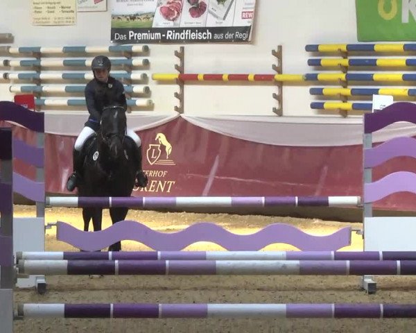 Reitturnier Eicherloh RH Laurent 2017