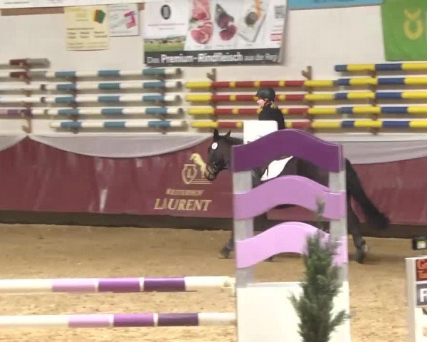 Reitturnier Eicherloh RH Laurent 2017