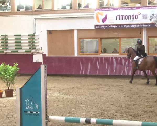 Reitturnier Eicherloh RH Laurent 2017