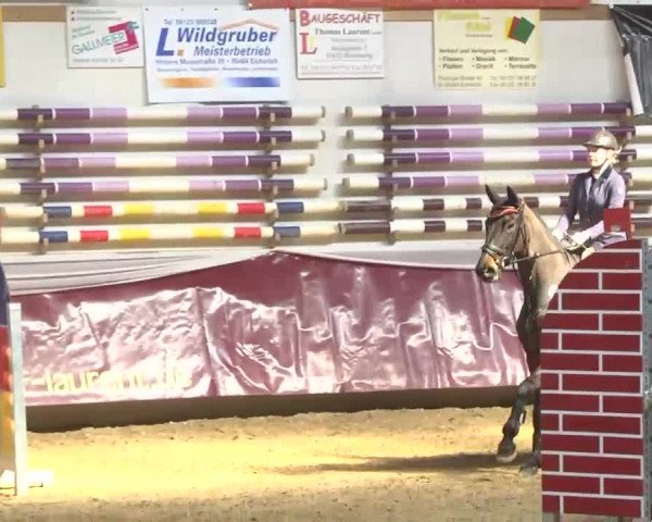 Reitturnier Eicherloh RH Laurent 2017