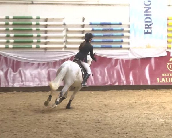 Reitturnier Eicherloh RH Laurent 2017