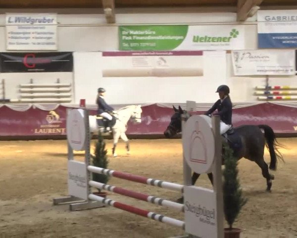 Reitturnier Eicherloh RH Laurent 2017