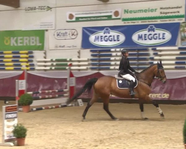 Reitturnier Eicherloh RH Laurent 2017