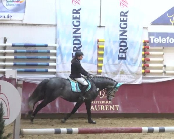 Reitturnier Eicherloh RH Laurent 2017