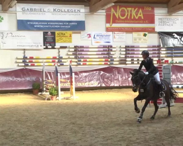 Reitturnier Eicherloh RH Laurent 2017