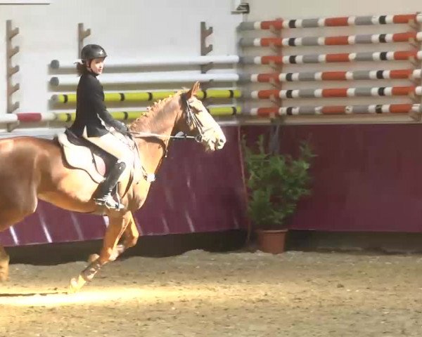 Reitturnier Eicherloh RH Laurent 2017