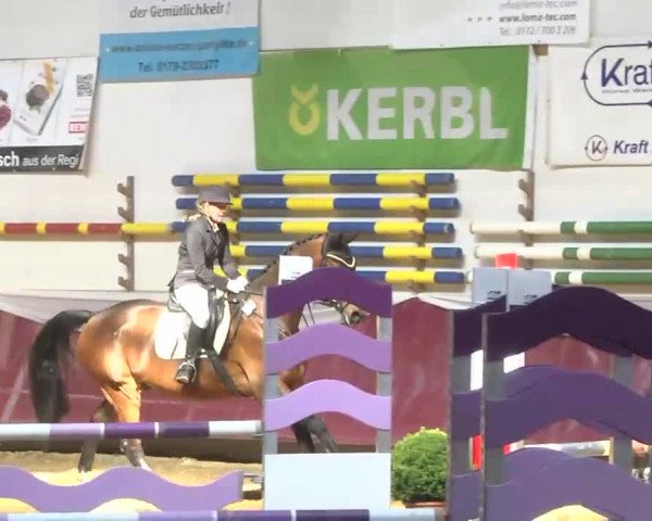Reitturnier Eicherloh RH Laurent 2017