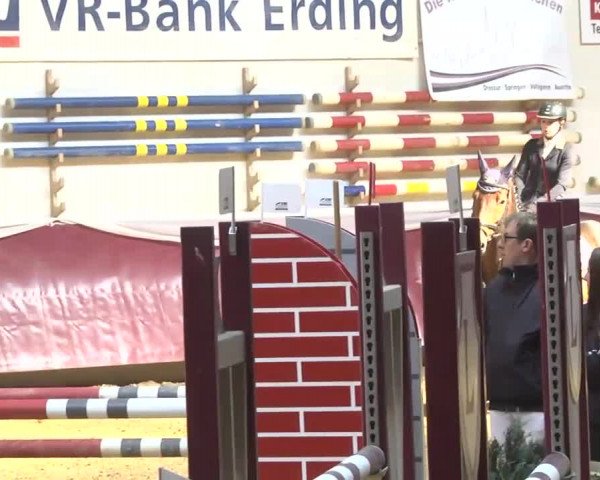 Reitturnier Eicherloh RH Laurent 2017