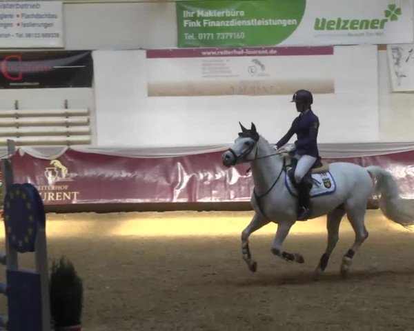 Reitturnier Eicherloh RH Laurent 2017