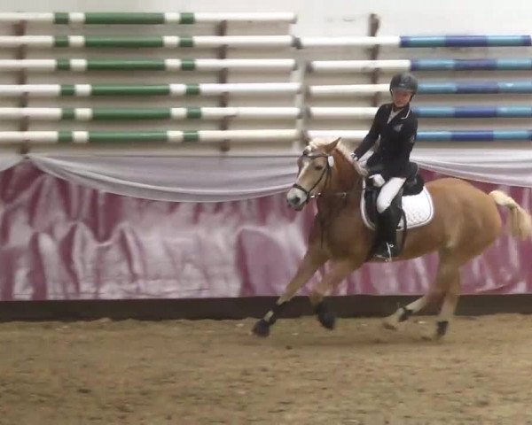 Reitturnier Eicherloh RH Laurent 2017