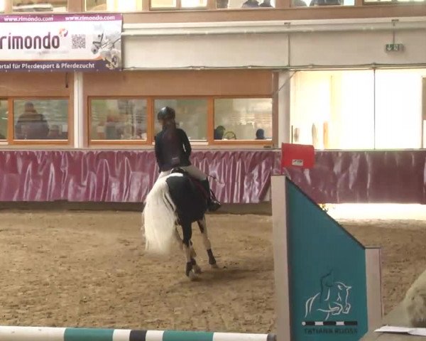 Reitturnier Eicherloh RH Laurent 2017