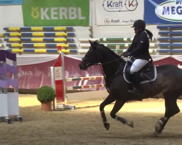 Reitturnier Eicherloh RH Laurent 2017