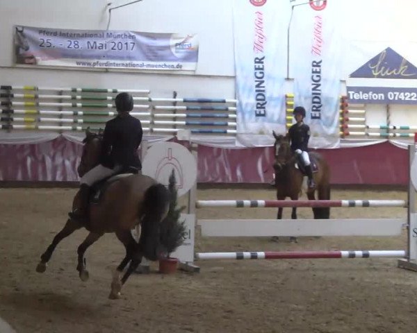 Reitturnier Eicherloh RH Laurent 2017