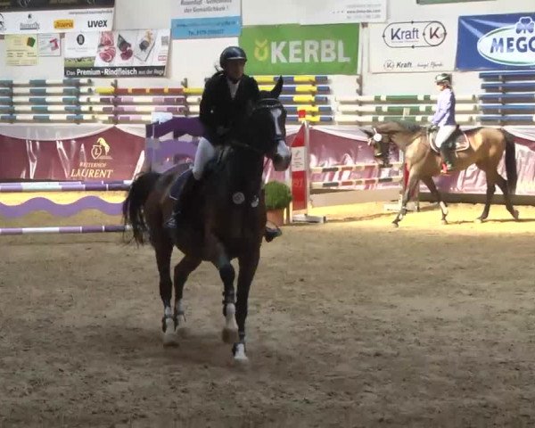 Reitturnier Eicherloh RH Laurent 2017