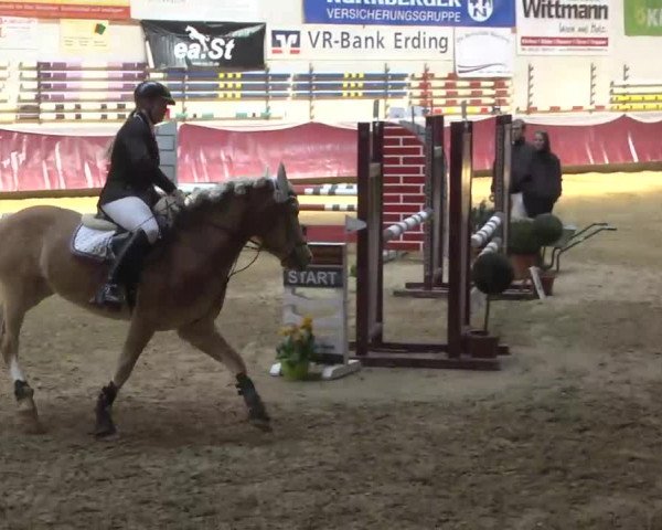 Reitturnier Eicherloh RH Laurent 2017