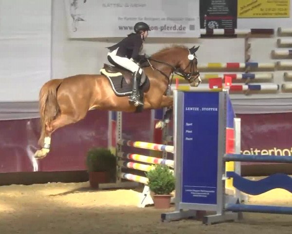 Reitturnier Eicherloh RH Laurent 2017