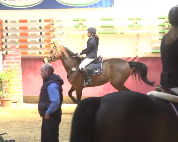 Reitturnier Eicherloh RH Laurent 2017