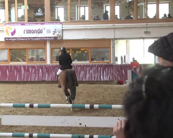 Reitturnier Eicherloh RH Laurent 2017