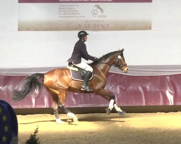 Reitturnier Eicherloh RH Laurent 2017