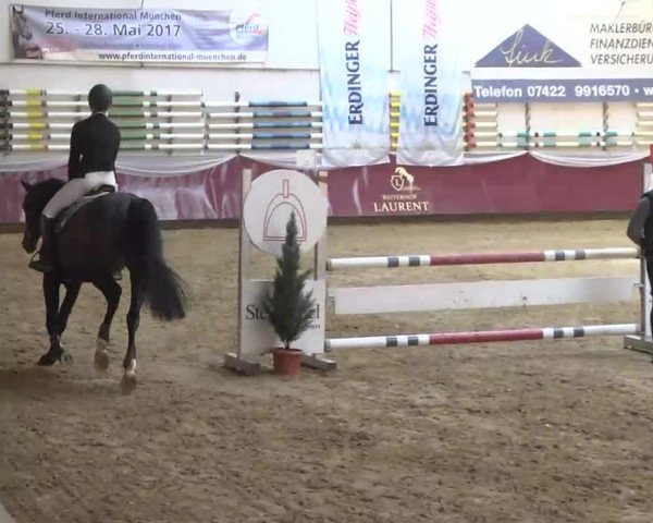 Reitturnier Eicherloh RH Laurent 2017