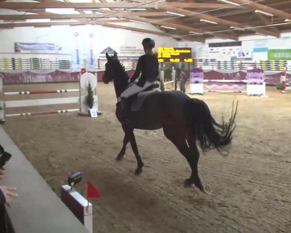 Reitturnier Eicherloh RH Laurent 2017