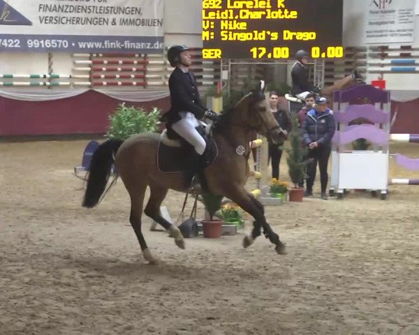 Reitturnier Eicherloh RH Laurent 2017