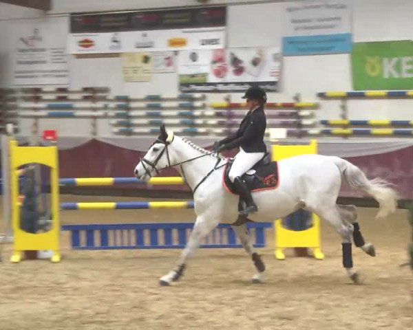 Reitturnier Eicherloh RH Laurent 2017