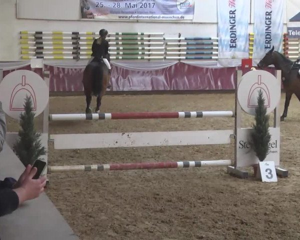Reitturnier Eicherloh RH Laurent 2017