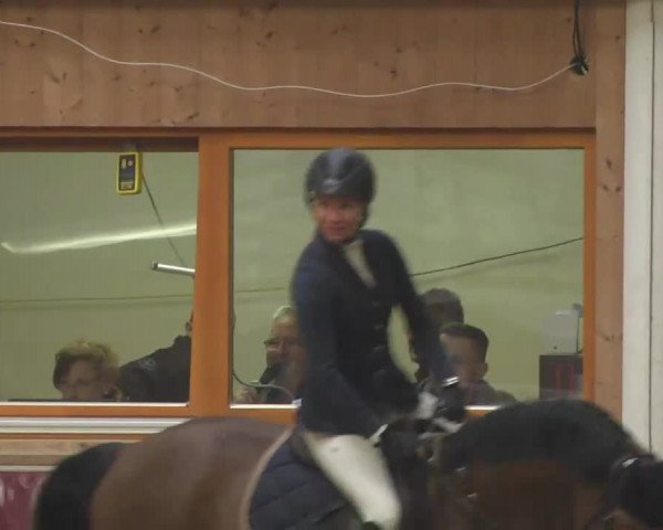 Reitturnier Eicherloh RH Laurent 2017