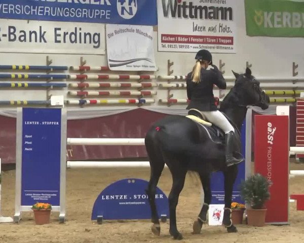 Reitturnier Eicherloh RH Laurent 2017