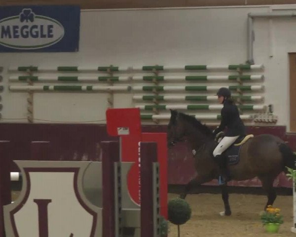 Reitturnier Eicherloh RH Laurent 2017