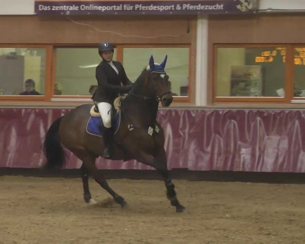 Reitturnier Eicherloh RH Laurent 2017