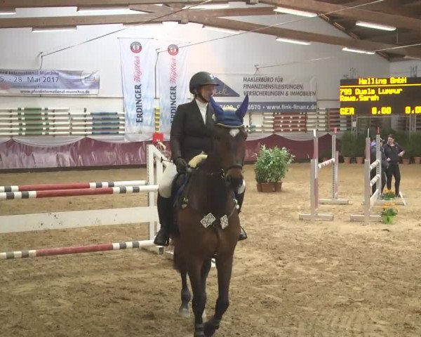 Reitturnier Eicherloh RH Laurent 2017
