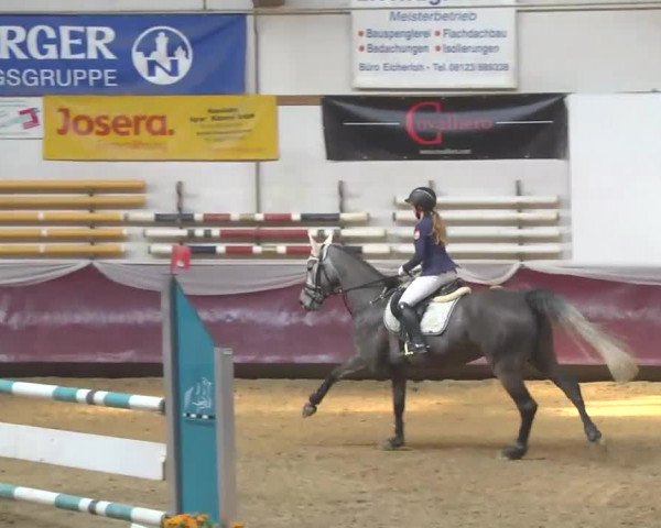 Reitturnier Eicherloh RH Laurent 2017