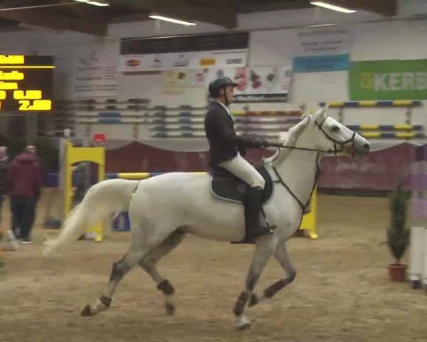 Reitturnier Eicherloh RH Laurent 2017