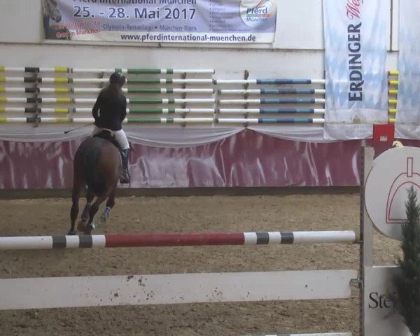 Reitturnier Eicherloh RH Laurent 2017