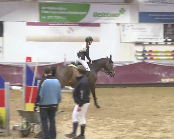 Reitturnier Eicherloh RH Laurent 2017